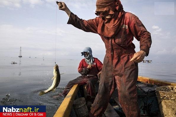 ماهیگیری اجباری بر روی سکوهای نفتی